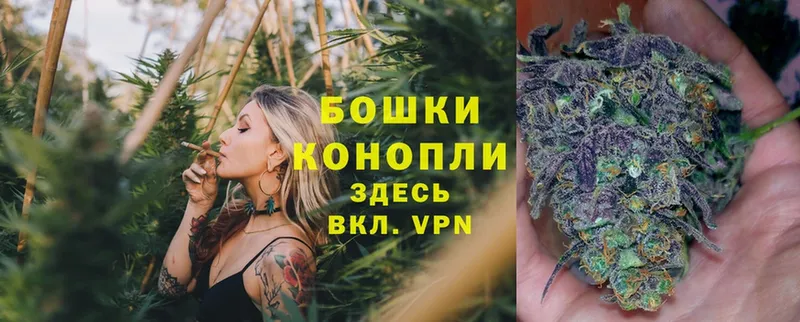 Бошки марихуана SATIVA & INDICA  Тобольск 